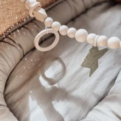 BEZISA Birds Wagenspanner Pistache Green -Baby Ruth Winkel 8720618125453 1 9132